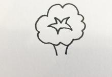 牽牛花簡筆畫顏色步驟