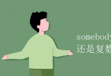 教育資訊:somebody是單數(shù)還是復(fù)數(shù)