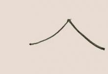 松樹(shù)簡(jiǎn)筆畫(huà)簡(jiǎn)單又漂亮