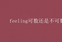 教育資訊：feeling可數(shù)還是不可數(shù)