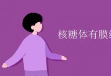教育資訊：核糖體有膜結構嗎