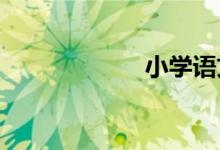 小學(xué)科學(xué)教學(xué)應(yīng)該怎樣開展？