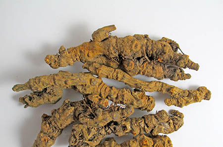 奶粉蓋子廢物利用，畫出可愛貓頭鷹7