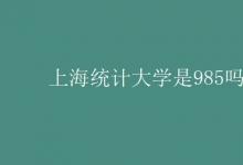 教育資訊:上海統(tǒng)計大學(xué)是985嗎