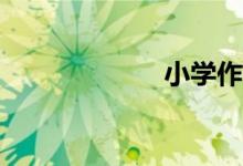 小學(xué)作文怎么寫(xiě)？