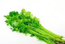 最美兒童畫(huà)實(shí)貼 這個(gè)想法我給100分