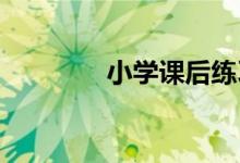 小學(xué)課后練習(xí)題庫(kù)操作技巧