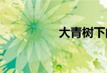 大青樹(shù)下的小學(xué)手抄報(bào)