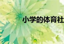 小學(xué)的體育社團活動都有哪些？