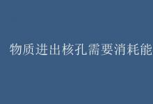 教育資訊：物質進出核孔需要消耗能量嗎