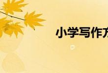 小學(xué)寫作方法有哪幾種？