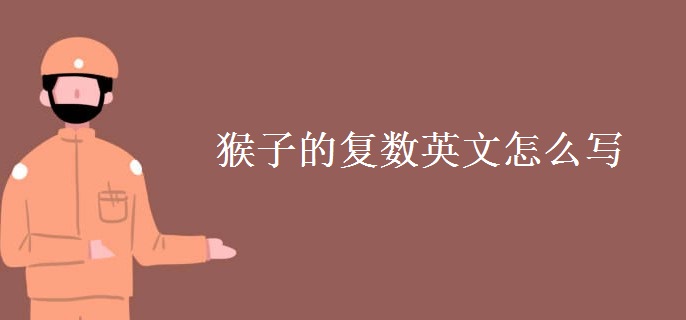 猴子的復數英文怎么寫