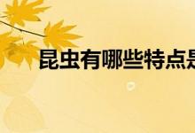 昆蟲(chóng)有哪些特點(diǎn)是什么（昆蟲(chóng)有哪些）