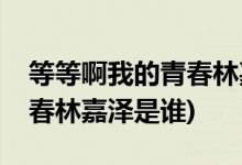等等啊我的青春林嘉澤扮演者(等等啊我的青春林嘉澤是誰(shuí))