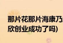 那片花那片?？的诵澜Y(jié)局(那片花那片海康乃欣創(chuàng)業(yè)成功了嗎)