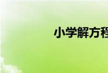 小學解方程的方法與技巧