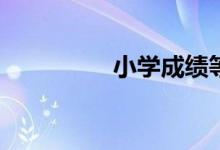 小學(xué)成績(jī)等級(jí)怎么劃分？