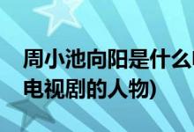 周小池向陽是什么電視劇(周小池向陽是什么電視劇的人物)