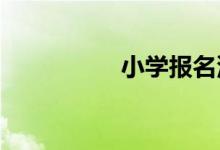 小學報名沒錄取怎么辦