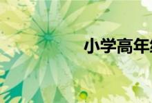 小學(xué)高年級如何記日記