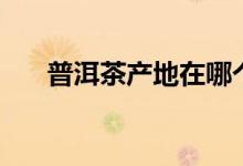 普洱茶產(chǎn)地在哪個省份（普洱茶產(chǎn)地）