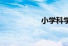 小學(xué)科學(xué)磁鐵手抄報