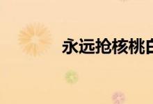 永遠(yuǎn)搶核桃白絲皮要多少錢？