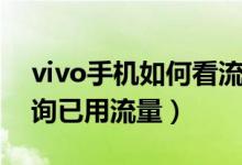 vivo手機(jī)如何看流量套餐（vivo手機(jī)怎么查詢(xún)已用流量）