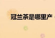 冠蘭茶是哪里產（冠茶是哪里的品牌）