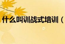 什么叫訓(xùn)戰(zhàn)式培訓(xùn)(個訓(xùn)課主要是訓(xùn)練什么)