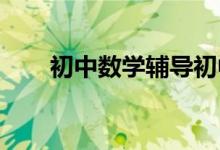初中數(shù)學(xué)輔導(dǎo)初中數(shù)學(xué)輔導(dǎo)注意事項