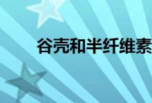 谷殼和半纖維素的主要成分是什么？