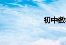 初中數(shù)學(xué)補習(xí)方法