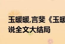 玉暖暖,言斐《玉暖暖／穿越之嬌妾成妻》小說全文大結局