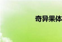 奇異果體育怎么使用？