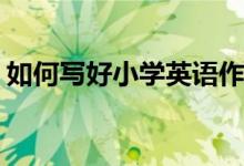 如何寫好小學(xué)英語作文第四課：animal？(2)