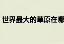 世界最大的草原在哪里?。ㄊ澜缱畲蟮牟菰?class=