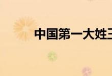 中國(guó)第一大姓王（中國(guó)第一大姓）