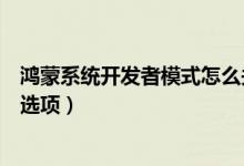 鴻蒙系統(tǒng)開(kāi)發(fā)者模式怎么關(guān)掉（鴻蒙系統(tǒng)怎樣關(guān)閉開(kāi)發(fā)人員選項(xiàng)）