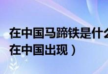 在中國(guó)馬蹄鐵是什么時(shí)候使用的(馬蹄鐵何時(shí)在中國(guó)出現(xiàn))