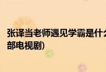 張譯當(dāng)老師遇見(jiàn)學(xué)霸是什么電視劇(張譯當(dāng)老師遇見(jiàn)學(xué)霸是哪部電視劇)