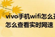 vivo手機wifi怎么開顯示實時網(wǎng)速（vivos10怎么查看實時網(wǎng)速）