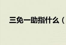 三免一助指什么（三免一助內容是什么）
