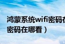 鴻蒙系統(tǒng)wifi密碼在哪個文件（鴻蒙系統(tǒng)wifi密碼在哪看）