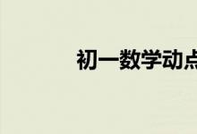 初一數(shù)學(xué)動點(diǎn)問題有什么技巧