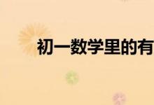 初一數(shù)學(xué)里的有理數(shù)知識點(diǎn)有什么？