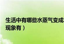 生活中有哪些水蒸氣變成水的現(xiàn)象（生活中水變成水蒸氣的現(xiàn)象有）