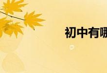 初中有哪些學習方法