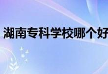 湖南專科學校哪個好（排名靠前的大專學校）