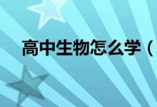 高中生物怎么學(xué)（有哪些實(shí)用學(xué)習(xí)方法）